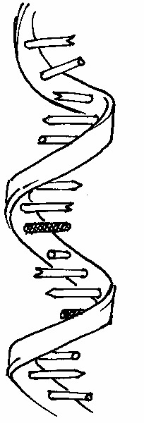 QGEN - RNA